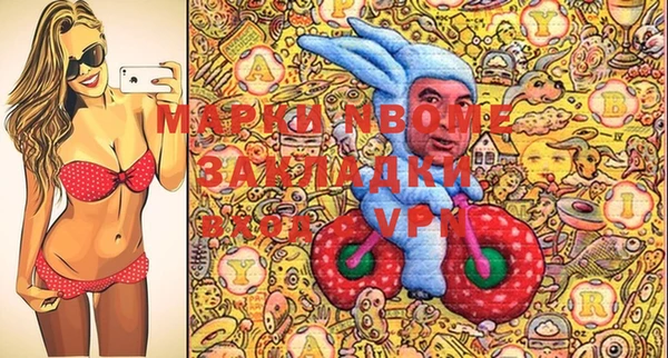 Альфа ПВП Инсар