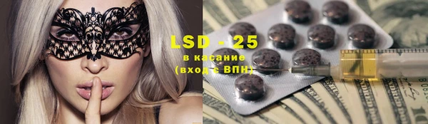 PSILOCYBIN Иннополис
