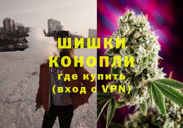 Альфа ПВП Инсар
