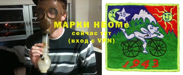 Альфа ПВП Инсар