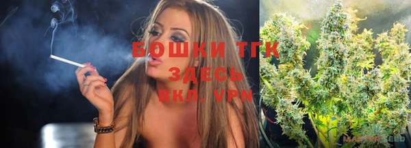 PSILOCYBIN Иннополис