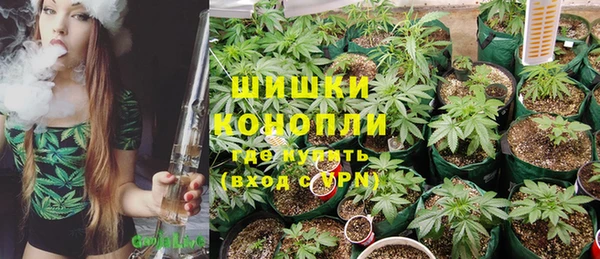 Альфа ПВП Инсар