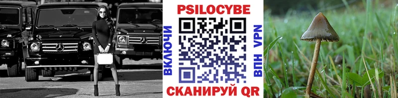 Купить закладки  Кодинск  Галлюциногенные грибы GOLDEN TEACHER 