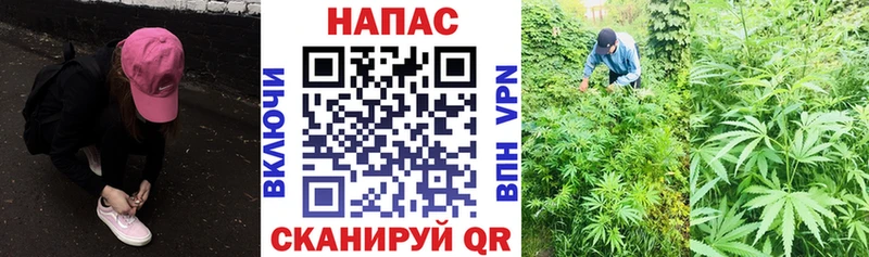 Бошки марихуана VHQ Кодинск